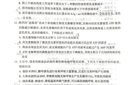山西省阳泉市2025-2026学年度第一学期期末教学质量监测试题高一生物试卷_2026年02月高一试卷_260216山西省阳泉市2025-2026学年上学期期末高一