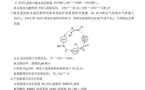 广东省六校（茂名一中，惠州一中，河源一中等）2024-2025学年高一上学期12月联合考试化学试题_2024年12月试卷
