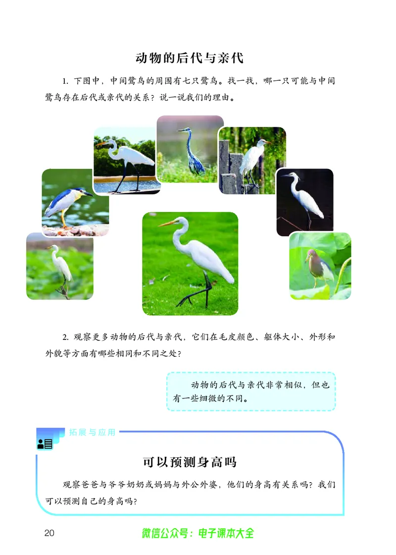义务教育教科书科学五年级上册_电子课本_小学电子课本_05科学_人教版
