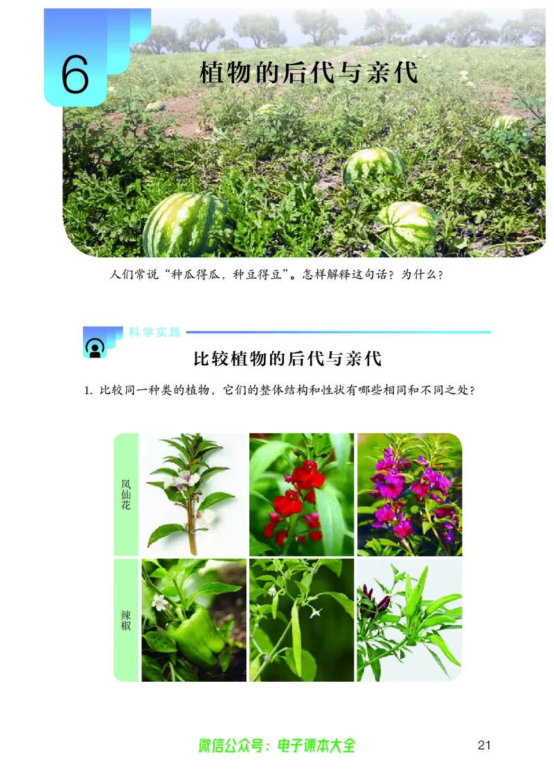 义务教育教科书科学五年级上册_电子课本_小学电子课本_05科学_人教版