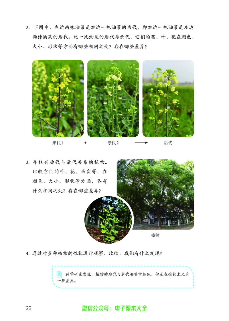 义务教育教科书科学五年级上册_电子课本_小学电子课本_05科学_人教版