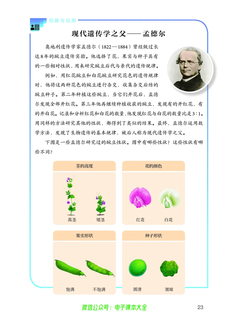 义务教育教科书科学五年级上册_电子课本_小学电子课本_05科学_人教版