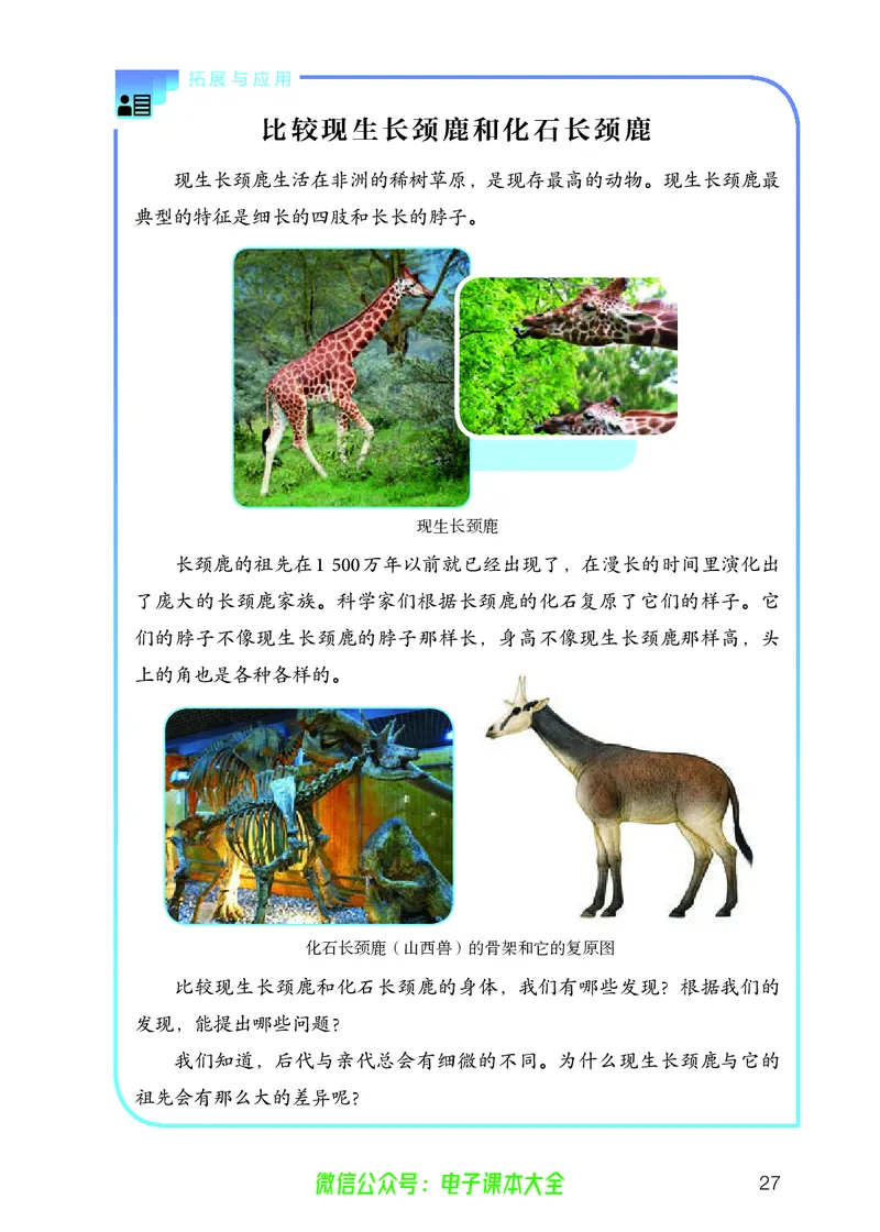 义务教育教科书科学五年级上册_电子课本_小学电子课本_05科学_人教版