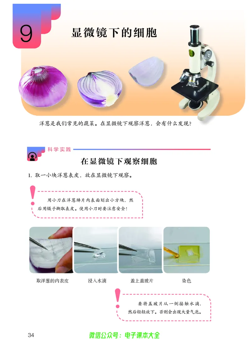 义务教育教科书科学五年级上册_电子课本_小学电子课本_05科学_人教版