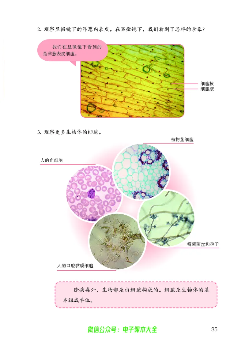 义务教育教科书科学五年级上册_电子课本_小学电子课本_05科学_人教版