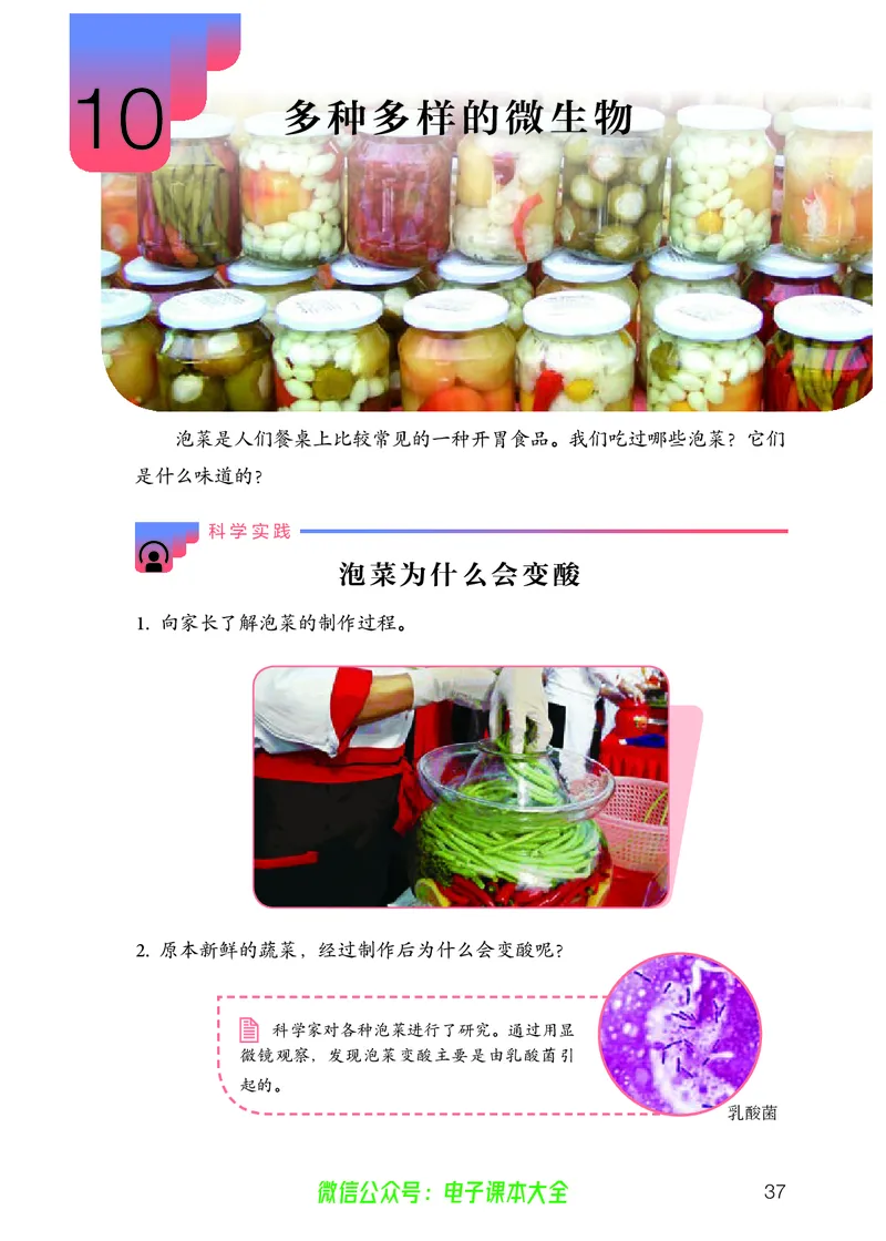 义务教育教科书科学五年级上册_电子课本_小学电子课本_05科学_人教版
