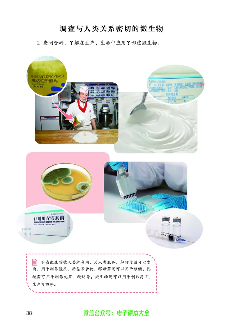 义务教育教科书科学五年级上册_电子课本_小学电子课本_05科学_人教版