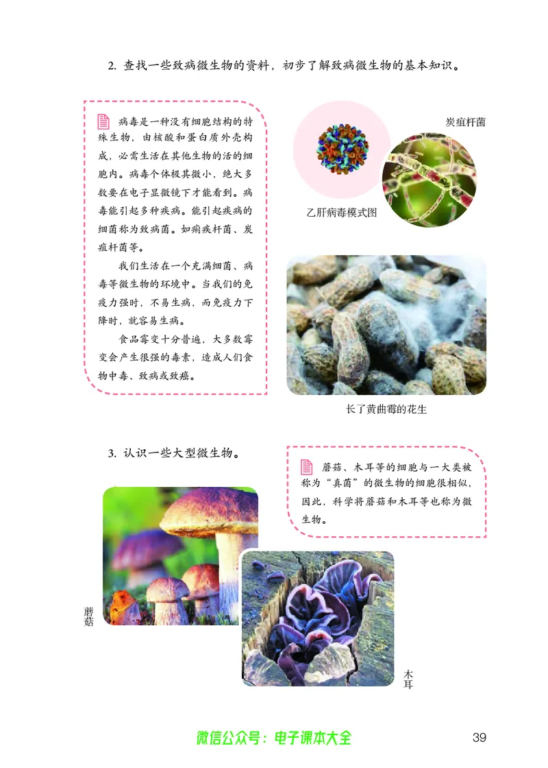 义务教育教科书科学五年级上册_电子课本_小学电子课本_05科学_人教版