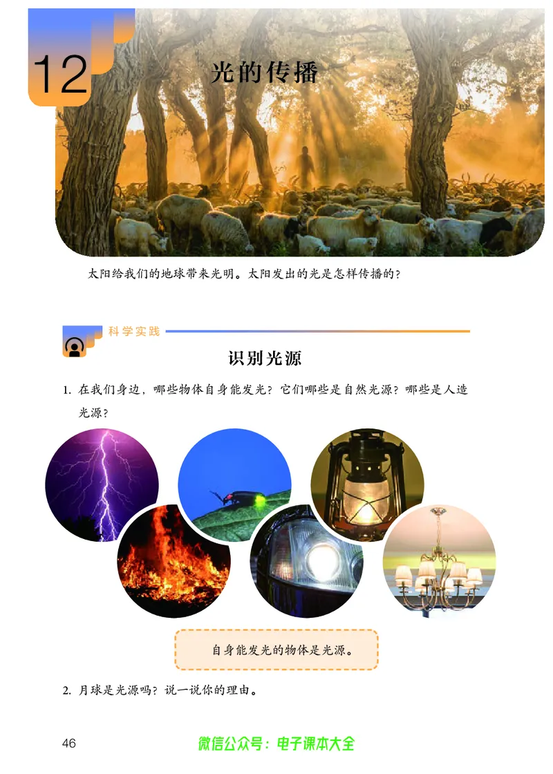 义务教育教科书科学五年级上册_电子课本_小学电子课本_05科学_人教版
