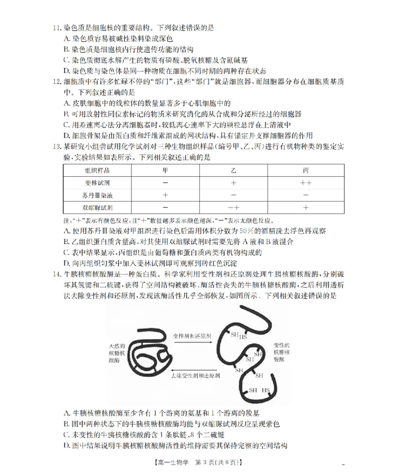 广东省2025-2026学年高一上学期11月联考（26-80A）生物_2025年12月高一试卷_251211金太阳&middot;广东省2025-2026学年高一上学期11月联考（26-80A）（全）