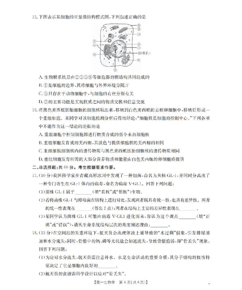 广东省2025-2026学年高一上学期11月联考（26-80A）生物_2025年12月高一试卷_251211金太阳&middot;广东省2025-2026学年高一上学期11月联考（26-80A）（全）