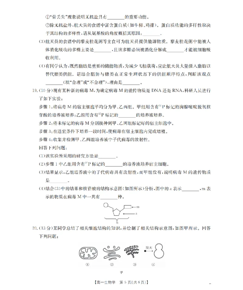 广东省2025-2026学年高一上学期11月联考（26-80A）生物_2025年12月高一试卷_251211金太阳&middot;广东省2025-2026学年高一上学期11月联考（26-80A）（全）