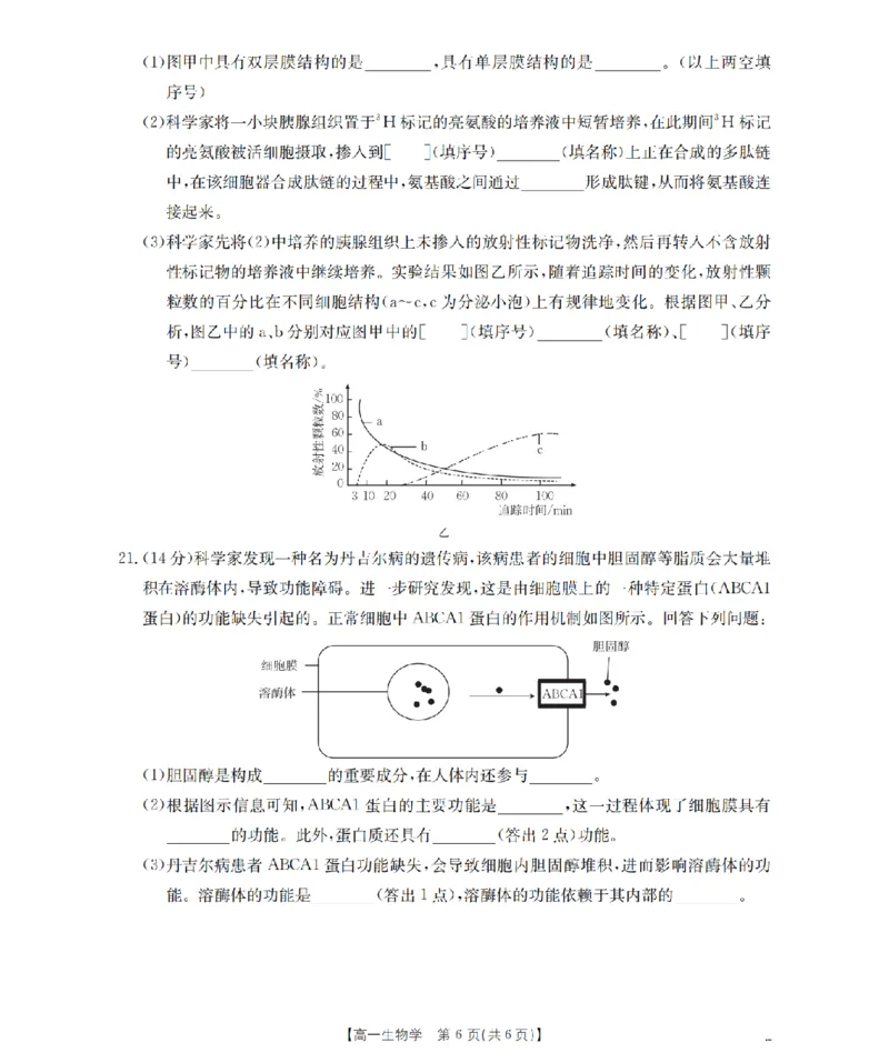广东省2025-2026学年高一上学期11月联考（26-80A）生物_2025年12月高一试卷_251211金太阳&middot;广东省2025-2026学年高一上学期11月联考（26-80A）（全）