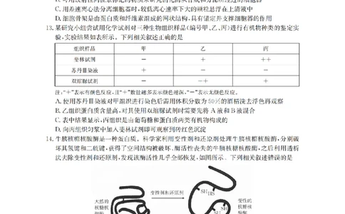 广东省2025-2026学年高一上学期11月联考（26-80A）生物_2025年12月高一试卷_251211金太阳&middot;广东省2025-2026学年高一上学期11月联考（26-80A）（全）