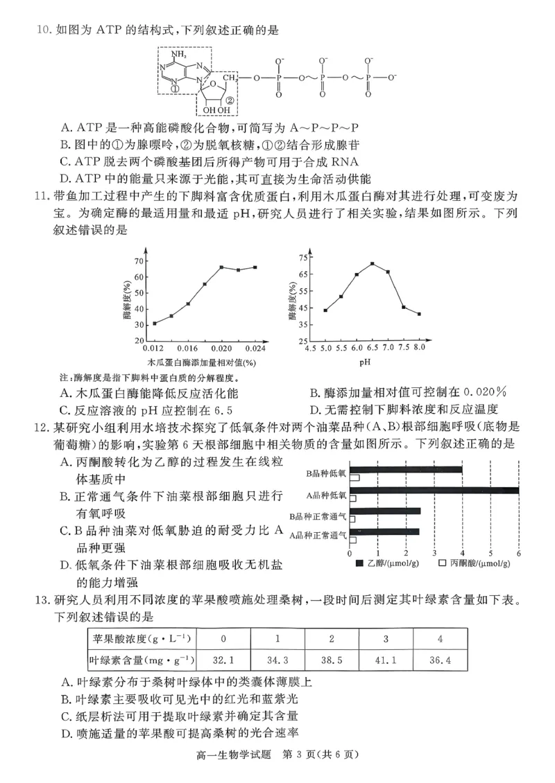 山西晋城市2025-2026学年高一上学期期末自测生物练习（图片版，含解析）_2026年02月高一试卷_260214山西省晋城市2025-2026学年高一上学期2月期末自测（全）