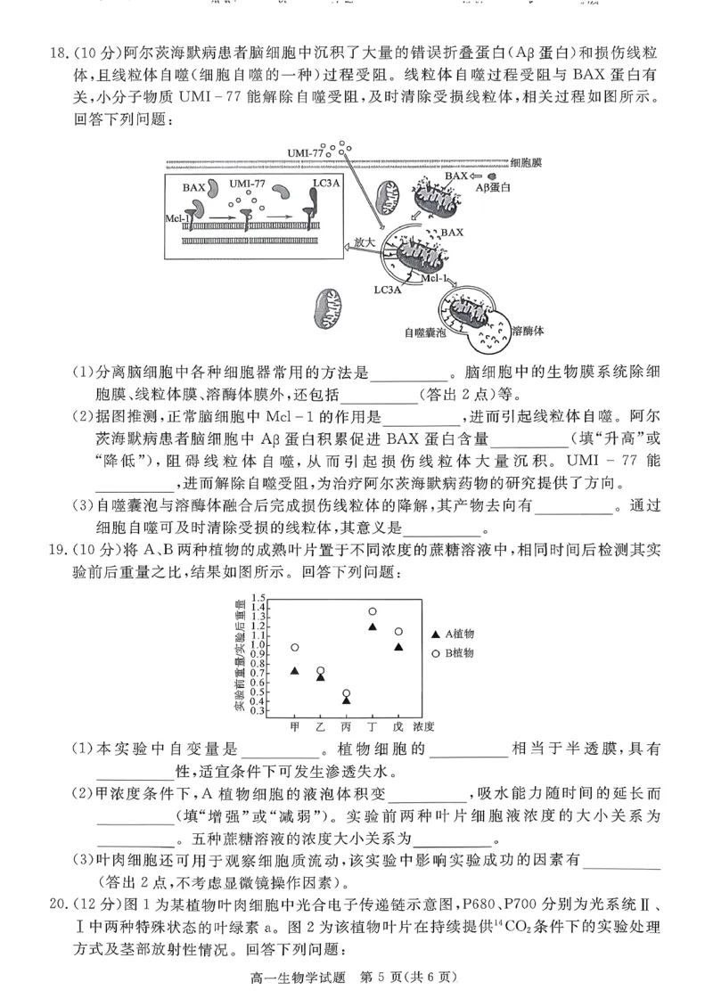 山西晋城市2025-2026学年高一上学期期末自测生物练习（图片版，含解析）_2026年02月高一试卷_260214山西省晋城市2025-2026学年高一上学期2月期末自测（全）