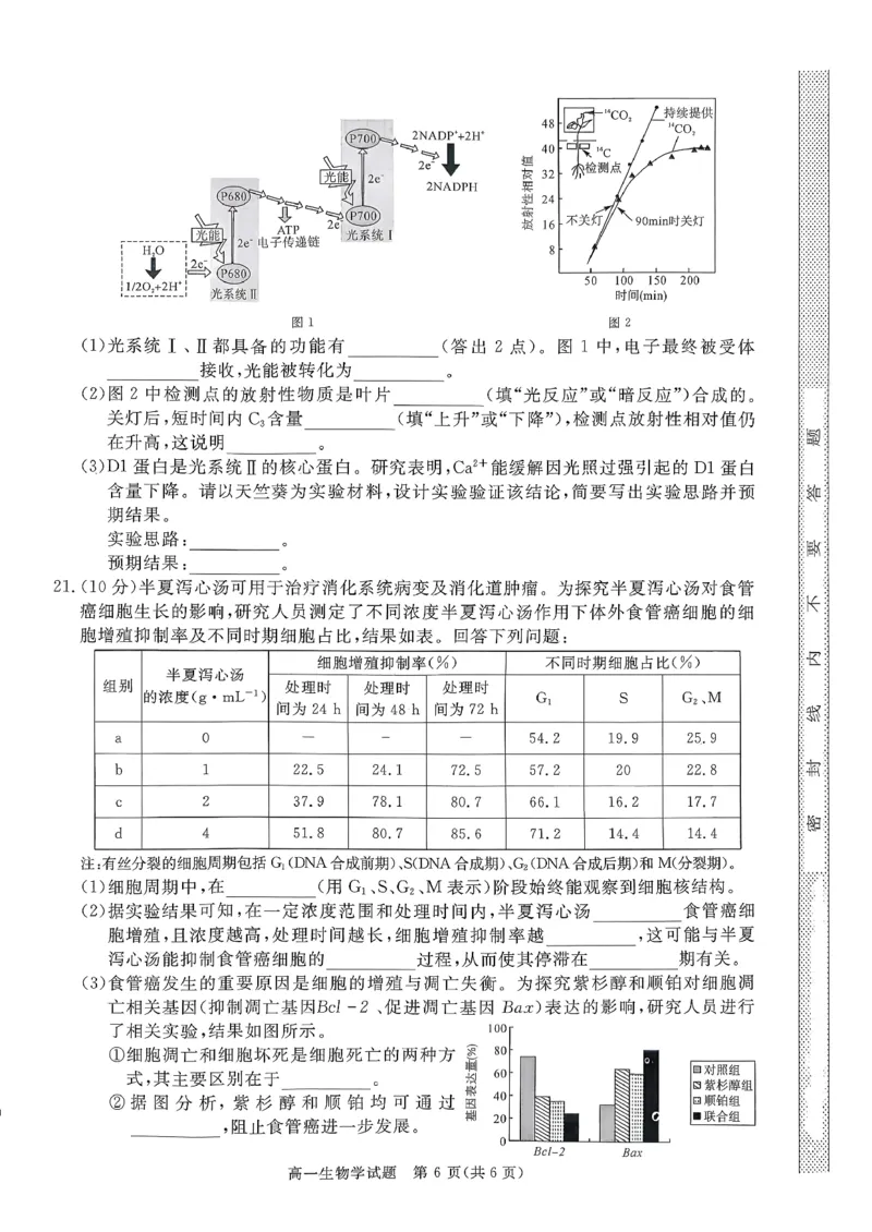 山西晋城市2025-2026学年高一上学期期末自测生物练习（图片版，含解析）_2026年02月高一试卷_260214山西省晋城市2025-2026学年高一上学期2月期末自测（全）