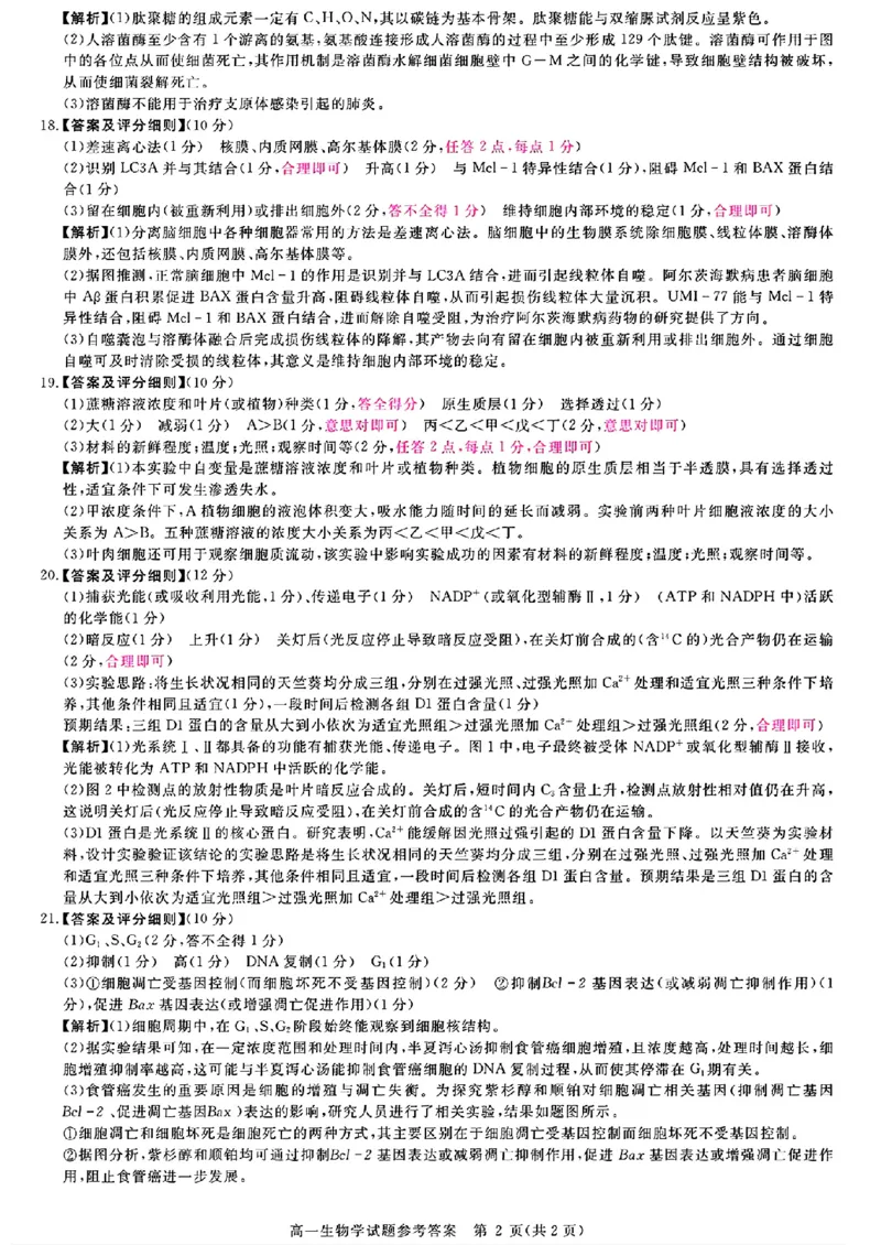 山西晋城市2025-2026学年高一上学期期末自测生物练习（图片版，含解析）_2026年02月高一试卷_260214山西省晋城市2025-2026学年高一上学期2月期末自测（全）