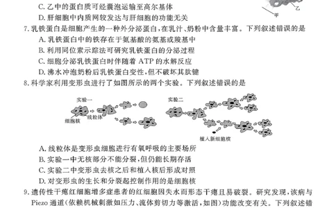 山西晋城市2025-2026学年高一上学期期末自测生物练习（图片版，含解析）_2026年02月高一试卷_260214山西省晋城市2025-2026学年高一上学期2月期末自测（全）