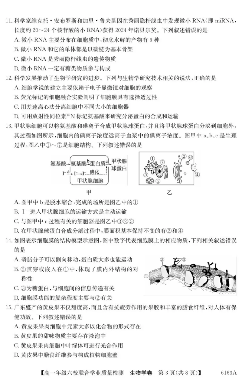 广东省惠州市六校2025-2026学年高一上学期联合学业质量检测生物试卷_2025年12月高一试卷_251215广东省六校2025-2026学年高一上学期12月联合学业质量检测（全）