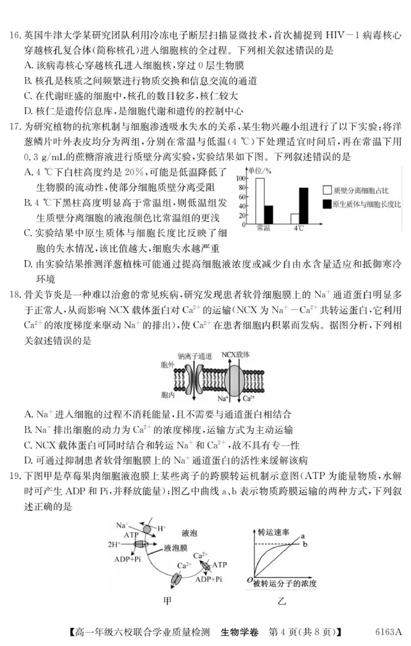 广东省惠州市六校2025-2026学年高一上学期联合学业质量检测生物试卷_2025年12月高一试卷_251215广东省六校2025-2026学年高一上学期12月联合学业质量检测（全）