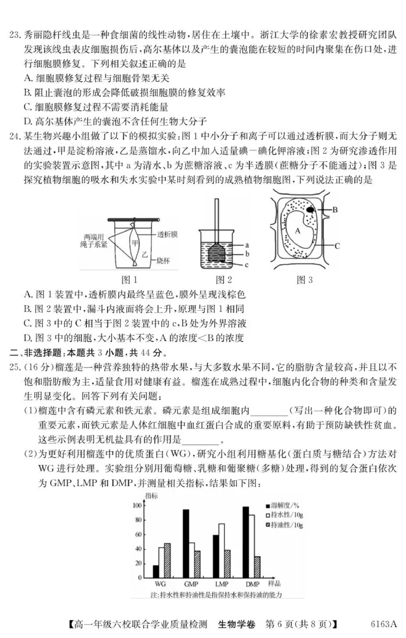 广东省惠州市六校2025-2026学年高一上学期联合学业质量检测生物试卷_2025年12月高一试卷_251215广东省六校2025-2026学年高一上学期12月联合学业质量检测（全）