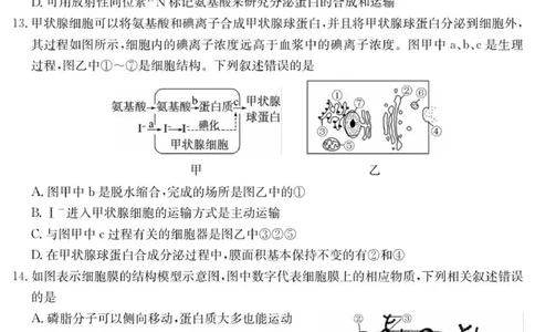 广东省惠州市六校2025-2026学年高一上学期联合学业质量检测生物试卷_2025年12月高一试卷_251215广东省六校2025-2026学年高一上学期12月联合学业质量检测（全）
