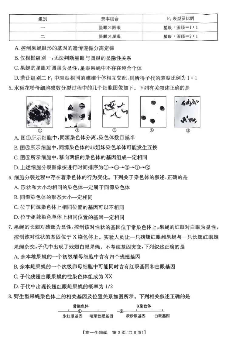 广东省佛山市H7联盟2024-2025学年高一5月联考生物试题_2025年05月试卷_0530广东省佛山市H7联盟学校2024-2025学年高一下学期5月月考