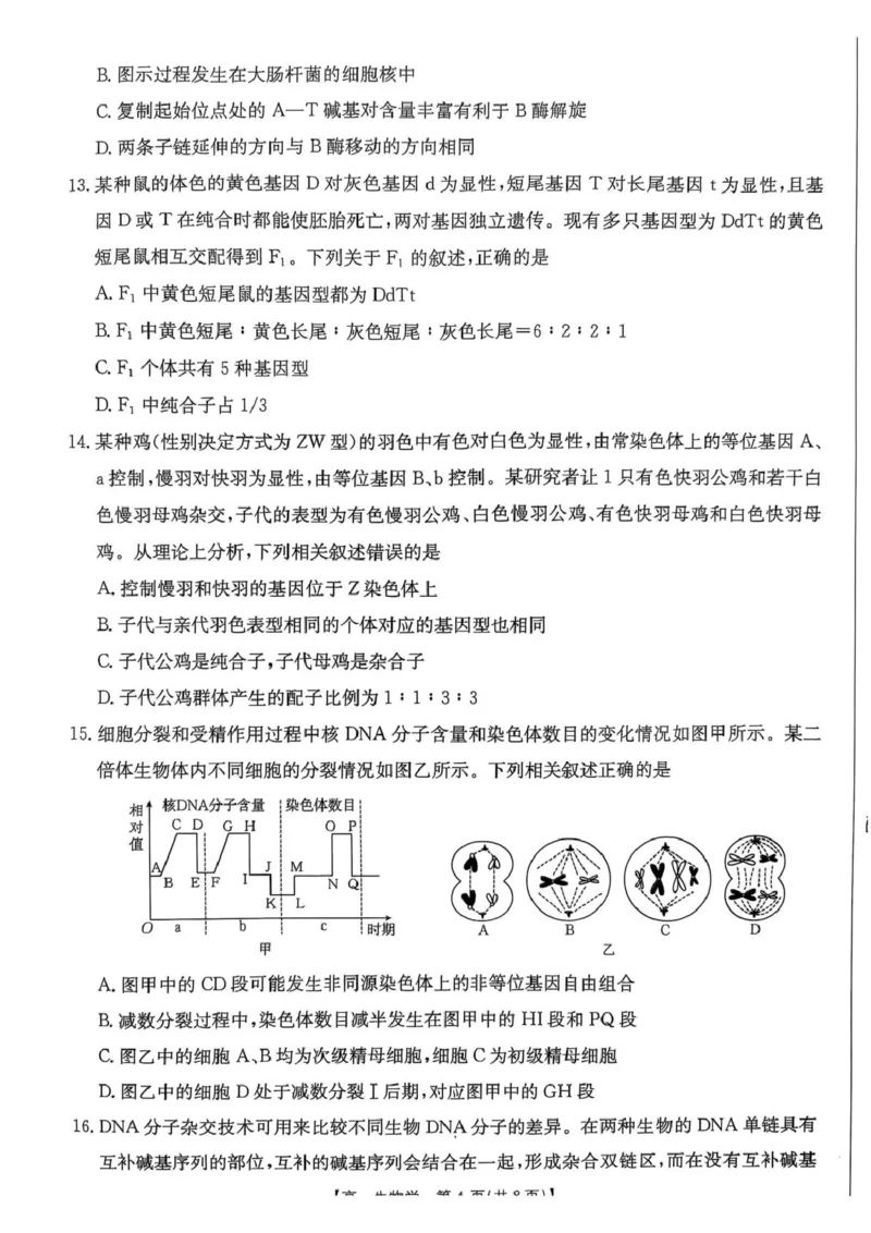 广东省佛山市H7联盟2024-2025学年高一5月联考生物试题_2025年05月试卷_0530广东省佛山市H7联盟学校2024-2025学年高一下学期5月月考