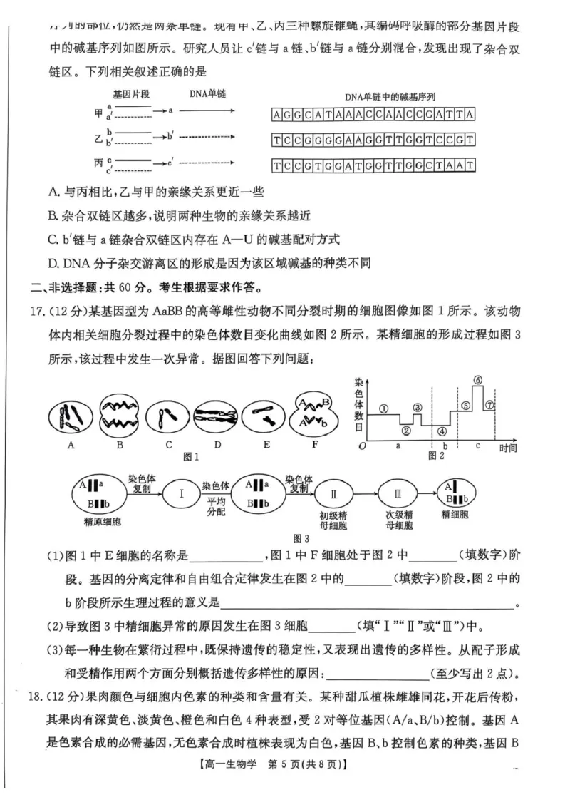 广东省佛山市H7联盟2024-2025学年高一5月联考生物试题_2025年05月试卷_0530广东省佛山市H7联盟学校2024-2025学年高一下学期5月月考