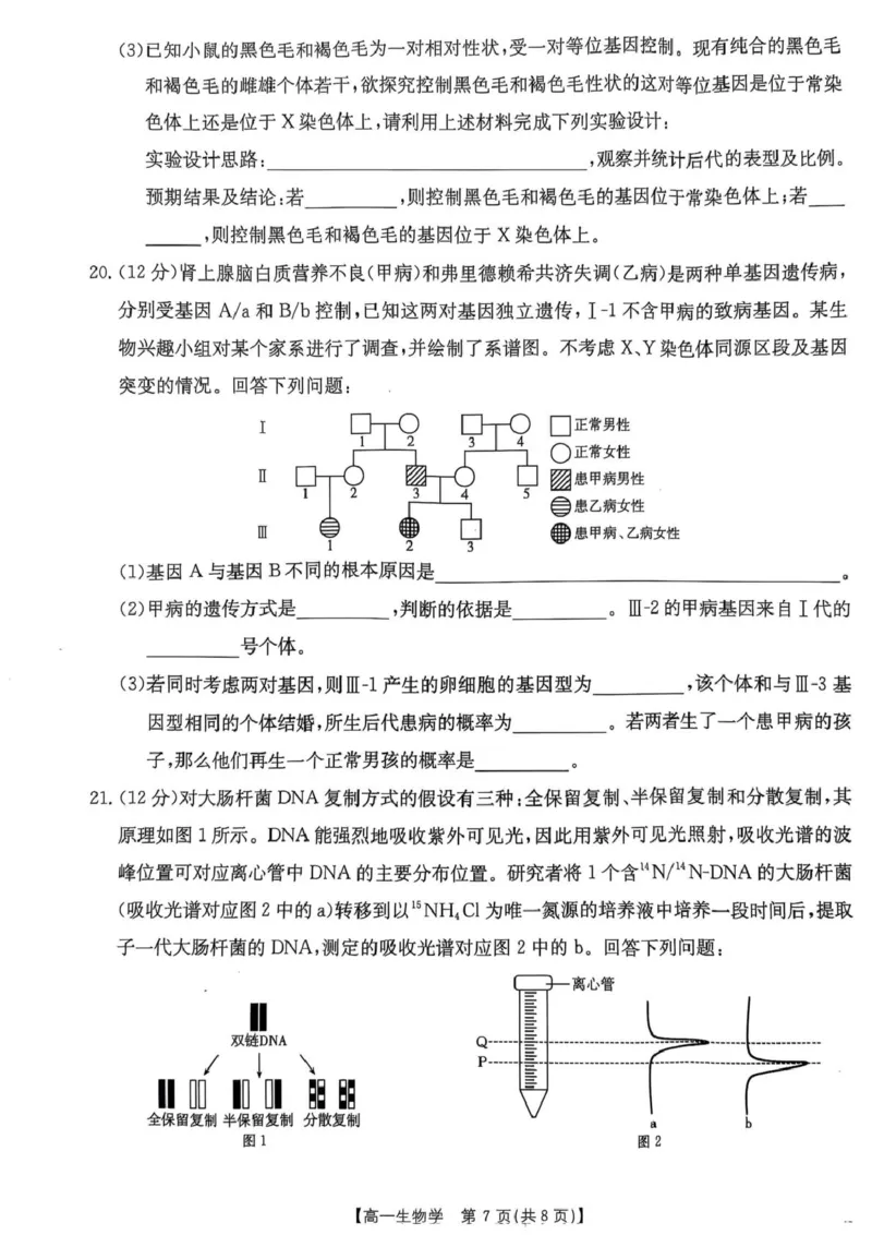 广东省佛山市H7联盟2024-2025学年高一5月联考生物试题_2025年05月试卷_0530广东省佛山市H7联盟学校2024-2025学年高一下学期5月月考