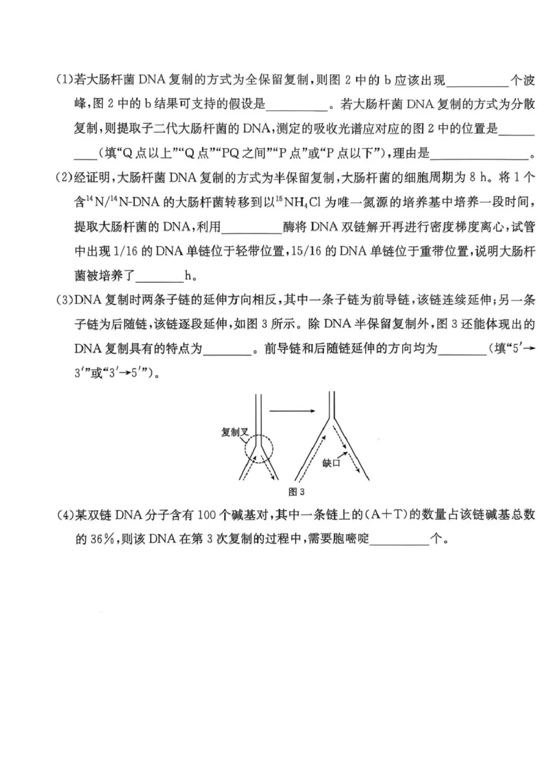 广东省佛山市H7联盟2024-2025学年高一5月联考生物试题_2025年05月试卷_0530广东省佛山市H7联盟学校2024-2025学年高一下学期5月月考