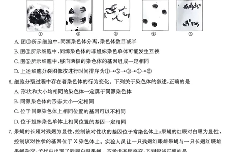 广东省佛山市H7联盟2024-2025学年高一5月联考生物试题_2025年05月试卷_0530广东省佛山市H7联盟学校2024-2025学年高一下学期5月月考