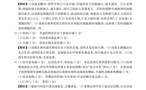 广东省2028届高一年级10月份联考（26-48A）生物答案_2025年10月高一试卷_251024金太阳&middot;广东省2028届高一年级10月份联考（26-48A）（全）