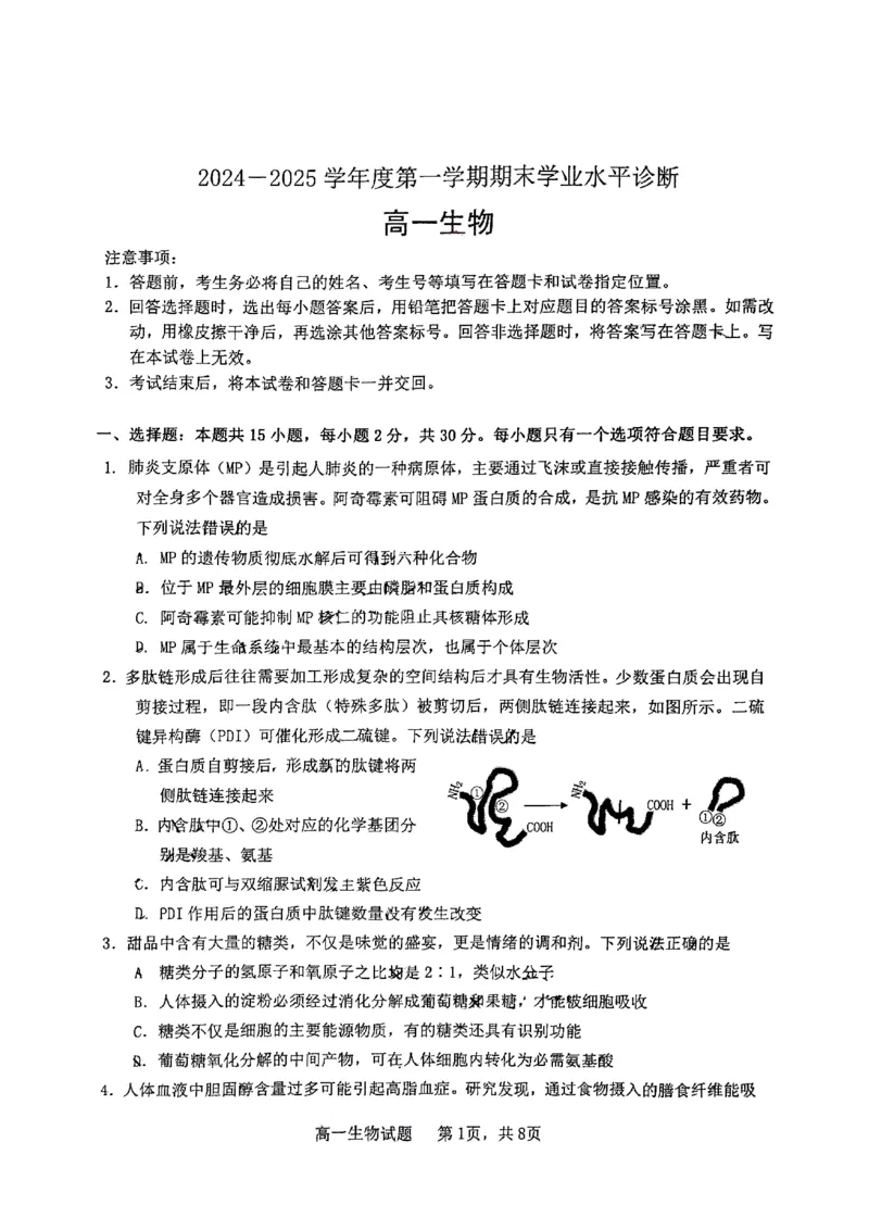 山东省烟台市2024-2025年高一上学期期末考试生物试题_2025年03月试卷_0318山东省烟台市2024-2025学年高一上学期期末考试_山东省烟台市2024-2025年高一上学期期末考试生物PDF版含答案
