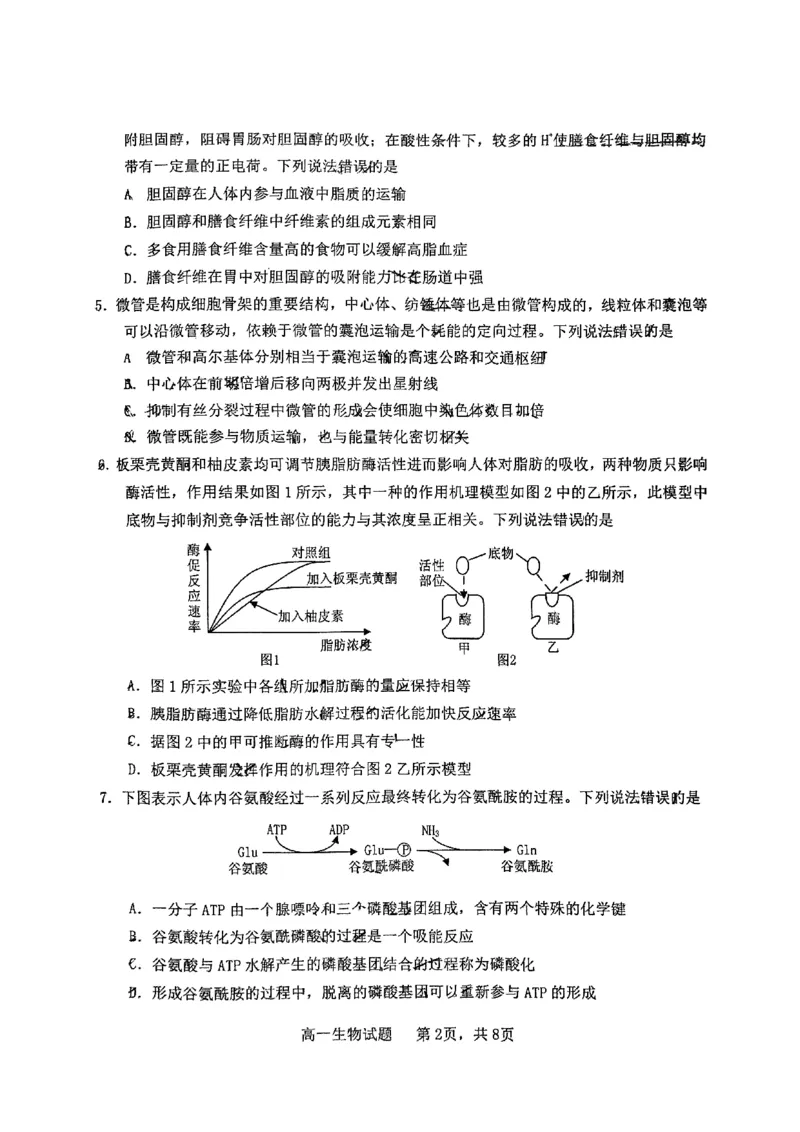 山东省烟台市2024-2025年高一上学期期末考试生物试题_2025年03月试卷_0318山东省烟台市2024-2025学年高一上学期期末考试_山东省烟台市2024-2025年高一上学期期末考试生物PDF版含答案