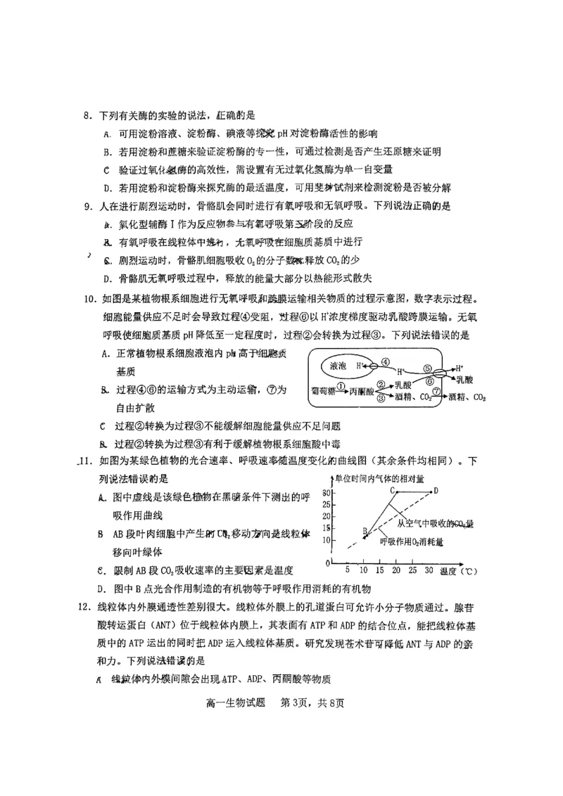 山东省烟台市2024-2025年高一上学期期末考试生物试题_2025年03月试卷_0318山东省烟台市2024-2025学年高一上学期期末考试_山东省烟台市2024-2025年高一上学期期末考试生物PDF版含答案