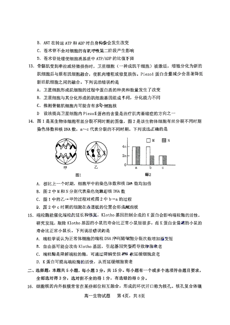 山东省烟台市2024-2025年高一上学期期末考试生物试题_2025年03月试卷_0318山东省烟台市2024-2025学年高一上学期期末考试_山东省烟台市2024-2025年高一上学期期末考试生物PDF版含答案