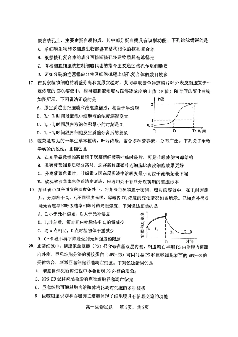 山东省烟台市2024-2025年高一上学期期末考试生物试题_2025年03月试卷_0318山东省烟台市2024-2025学年高一上学期期末考试_山东省烟台市2024-2025年高一上学期期末考试生物PDF版含答案