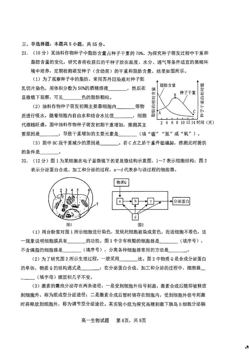 山东省烟台市2024-2025年高一上学期期末考试生物试题_2025年03月试卷_0318山东省烟台市2024-2025学年高一上学期期末考试_山东省烟台市2024-2025年高一上学期期末考试生物PDF版含答案