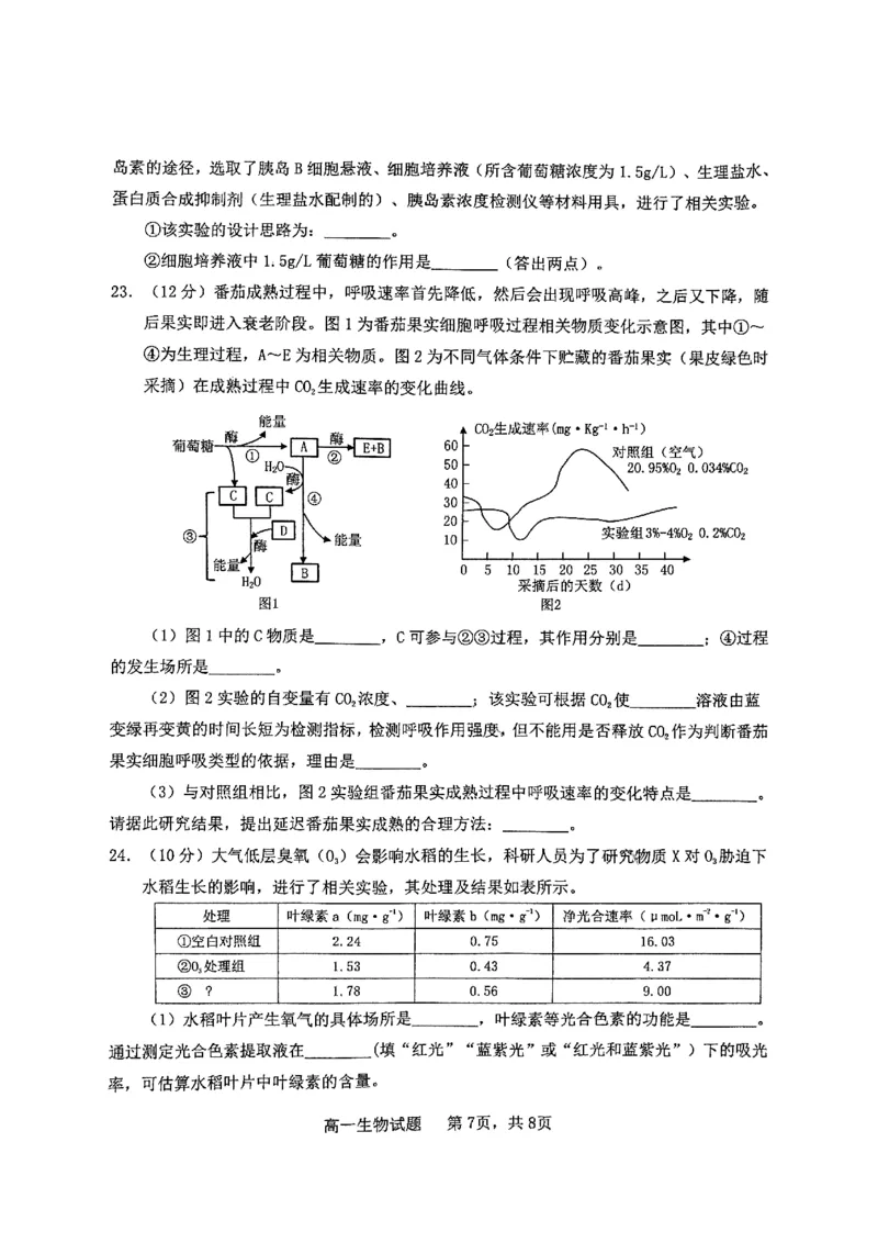 山东省烟台市2024-2025年高一上学期期末考试生物试题_2025年03月试卷_0318山东省烟台市2024-2025学年高一上学期期末考试_山东省烟台市2024-2025年高一上学期期末考试生物PDF版含答案