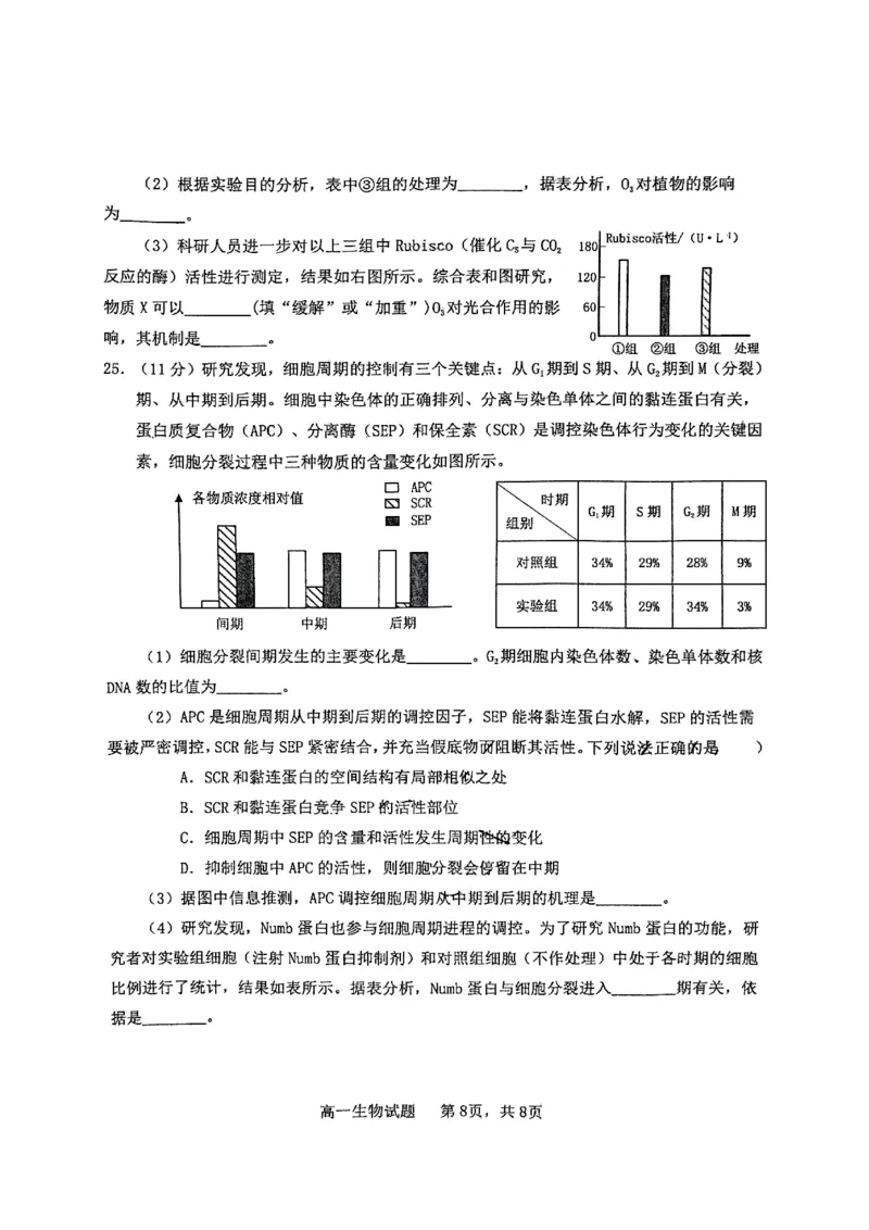 山东省烟台市2024-2025年高一上学期期末考试生物试题_2025年03月试卷_0318山东省烟台市2024-2025学年高一上学期期末考试_山东省烟台市2024-2025年高一上学期期末考试生物PDF版含答案