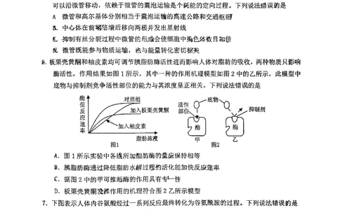 山东省烟台市2024-2025年高一上学期期末考试生物试题_2025年03月试卷_0318山东省烟台市2024-2025学年高一上学期期末考试_山东省烟台市2024-2025年高一上学期期末考试生物PDF版含答案