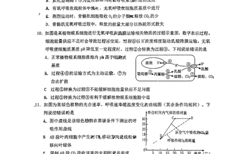 山东省烟台市2024-2025年高一上学期期末考试生物试题_2025年03月试卷_0318山东省烟台市2024-2025学年高一上学期期末考试_山东省烟台市2024-2025年高一上学期期末考试生物PDF版含答案