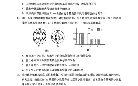 山东省烟台市2024-2025年高一上学期期末考试生物试题_2025年03月试卷_0318山东省烟台市2024-2025学年高一上学期期末考试_山东省烟台市2024-2025年高一上学期期末考试生物PDF版含答案