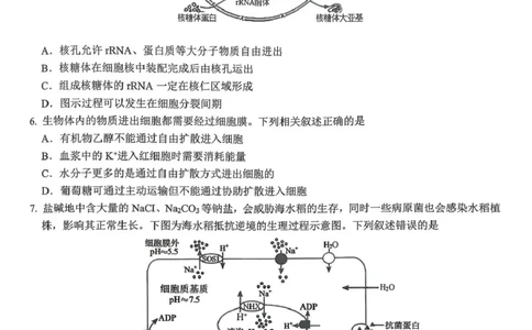 山西省运城市2025-2026学年高一上学期2月期末调研测试生物_2026年02月高一试卷_260222山西省运城市2025-2026学年第一学期期末调研测试高一
