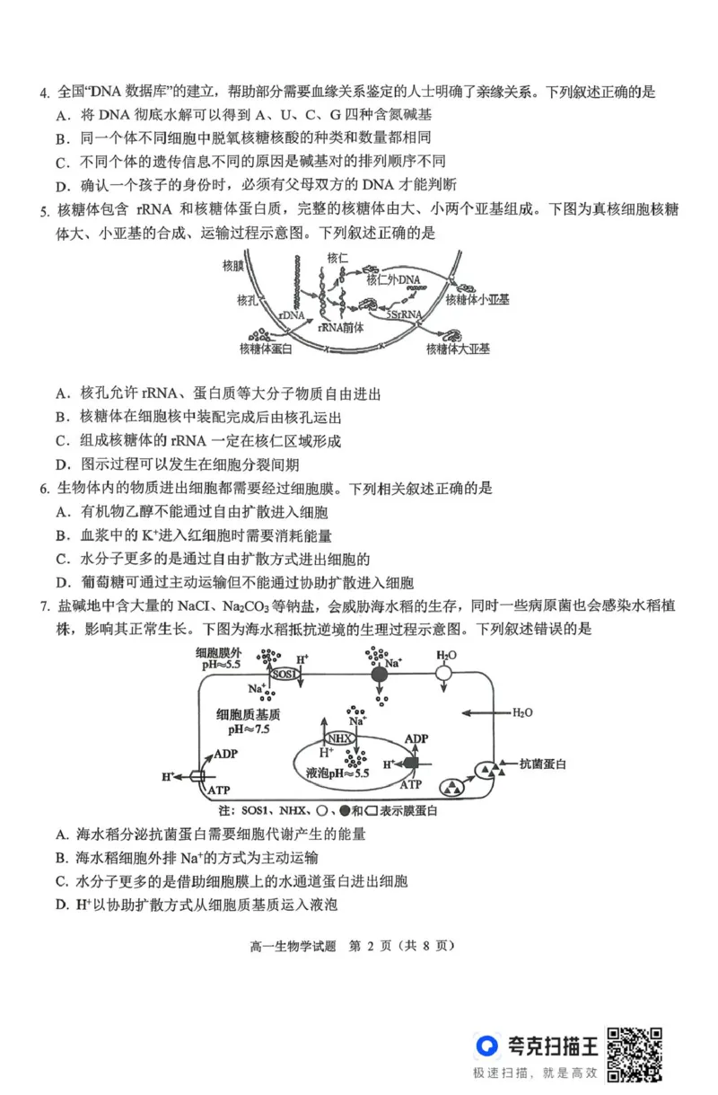 山西省运城市2025-2026学年高一上学期2月期末调研测试生物_2026年02月高一试卷_260222山西省运城市2025-2026学年第一学期期末调研测试高一
