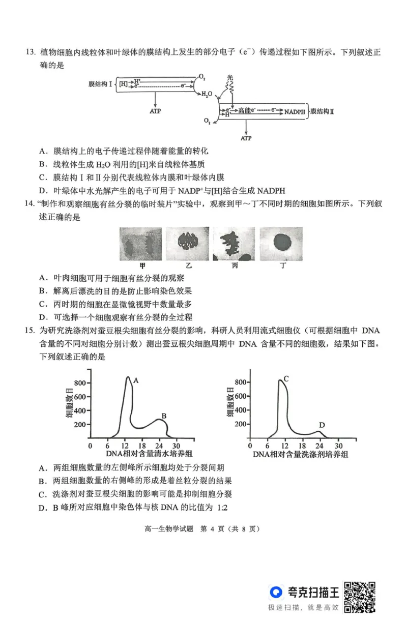 山西省运城市2025-2026学年高一上学期2月期末调研测试生物_2026年02月高一试卷_260222山西省运城市2025-2026学年第一学期期末调研测试高一