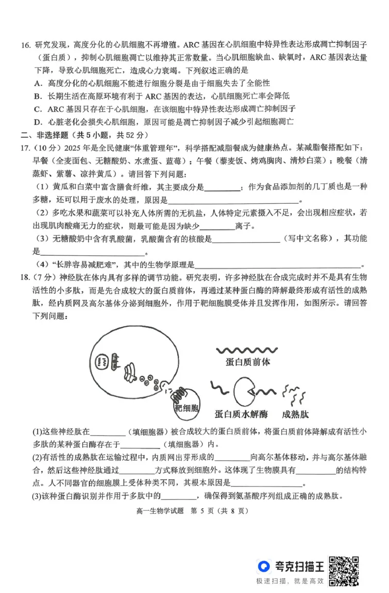 山西省运城市2025-2026学年高一上学期2月期末调研测试生物_2026年02月高一试卷_260222山西省运城市2025-2026学年第一学期期末调研测试高一