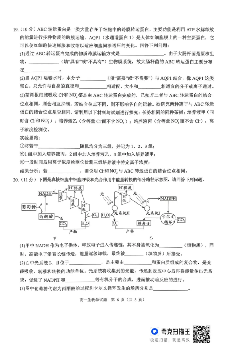 山西省运城市2025-2026学年高一上学期2月期末调研测试生物_2026年02月高一试卷_260222山西省运城市2025-2026学年第一学期期末调研测试高一